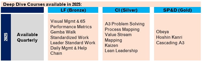 lean academy chart