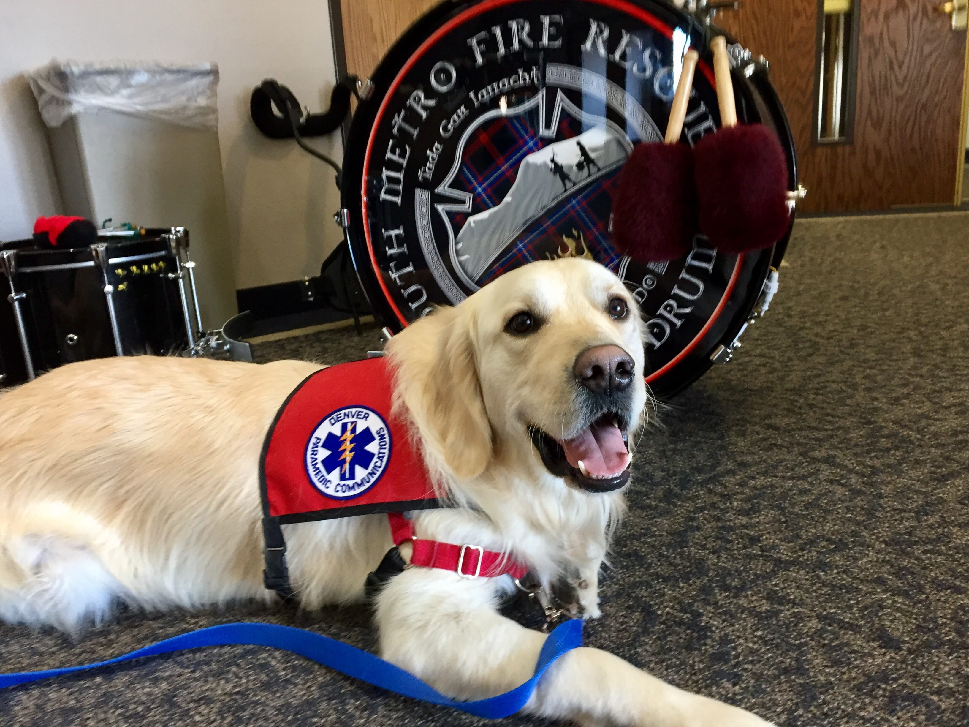 Pet Therapy Dogs Needed to Comfort Patients - Denver Health